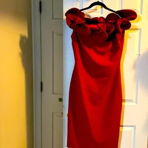 Alberto makali size 8 red dress.  Never worn